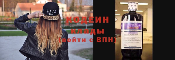 гашик Михайлов