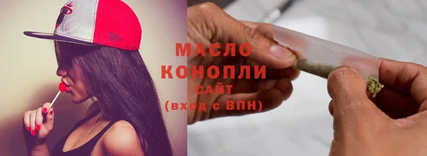 гашик Михайлов