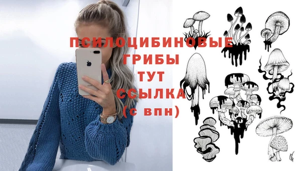 молекула духа Мегион