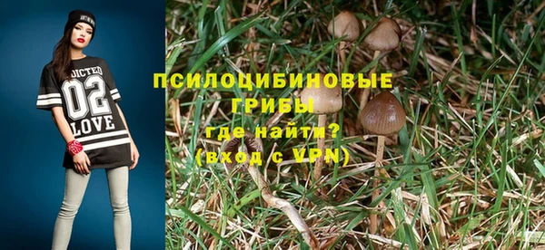 молекула духа Мегион