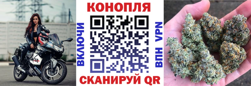 сколько стоит  MEGA маркетплейс  Бошки Шишки конопля  Бологое 